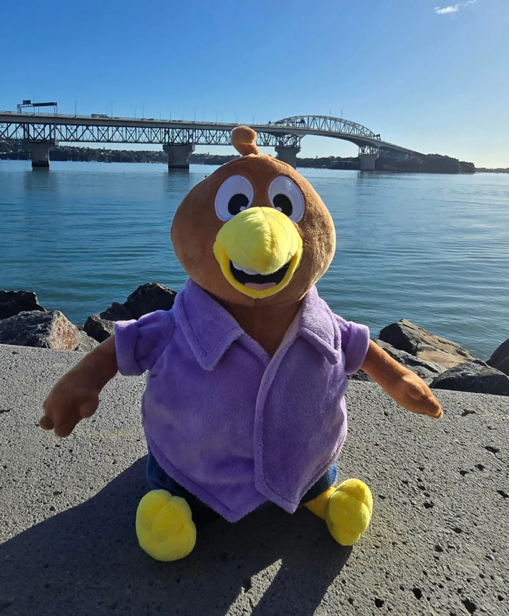 新西兰超萌的Kiwi 毛绒玩具（35厘米）