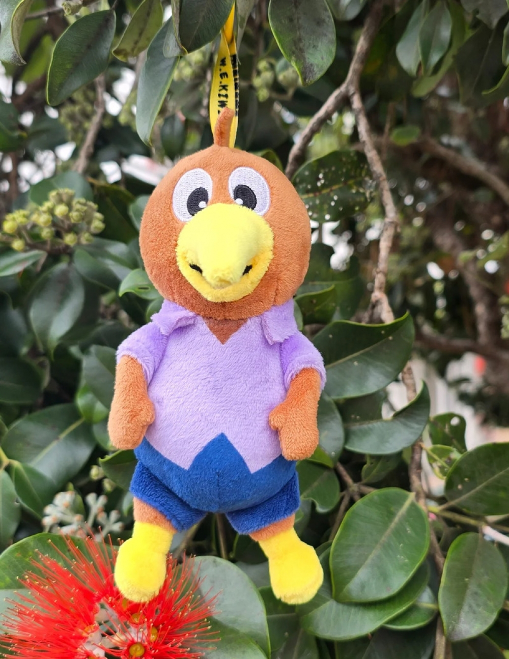 新西兰超可爱的KIWI几维鸟毛绒玩具挂饰（15厘米）