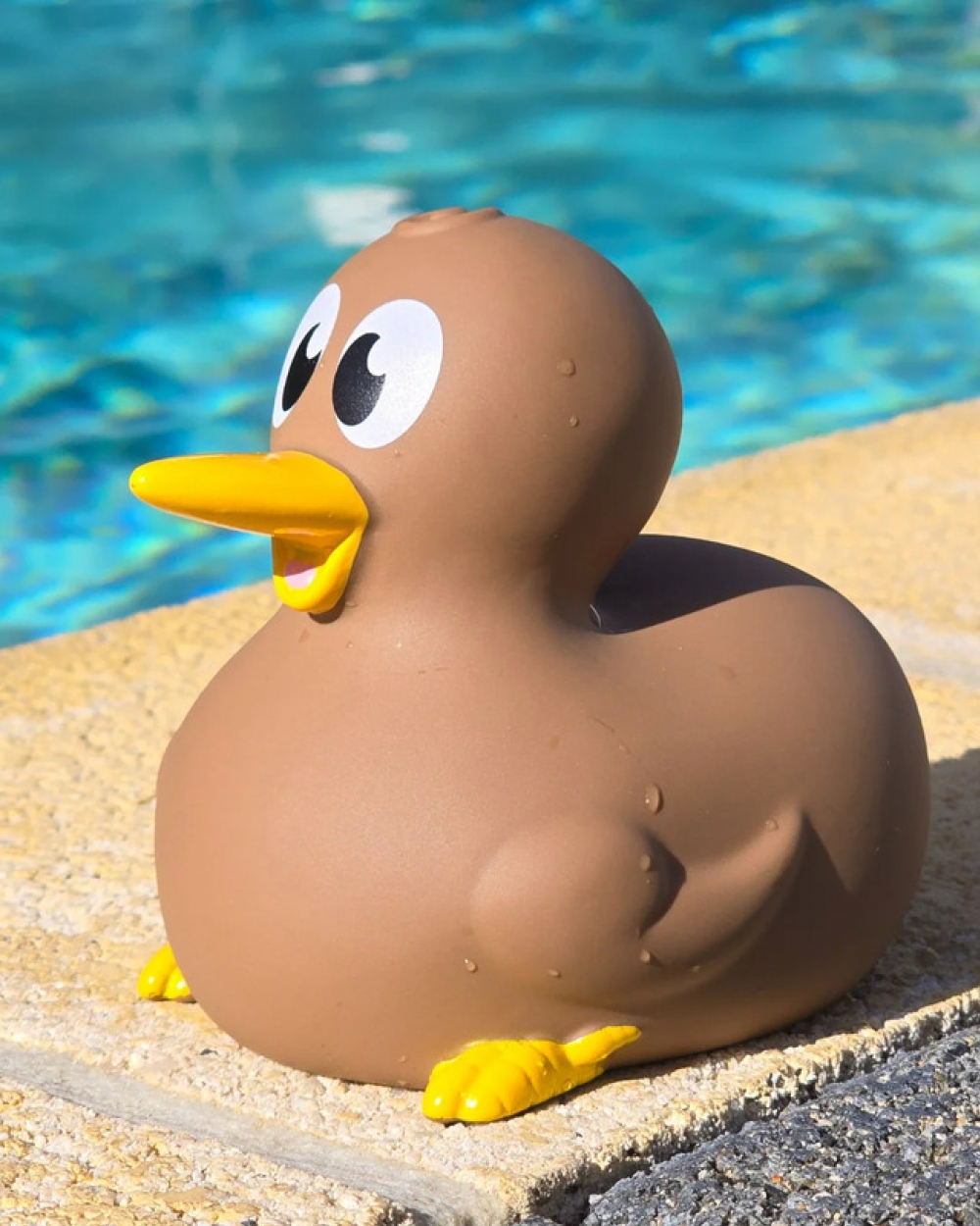 新西兰Kiwucky原版 No.1/创意 Kiwi 鸟浴室玩具