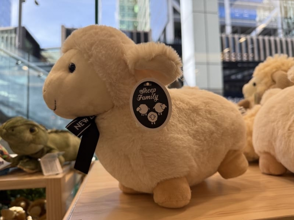 新西兰羊家族毛绒玩具 25cm