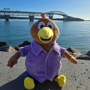 新西兰超萌的Kiwi 毛绒玩具（35厘米）