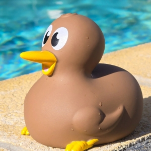 新西兰Kiwucky原版 No.1/创意 Kiwi 鸟浴室玩具